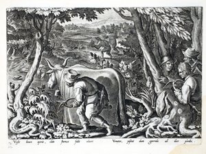 Jagd auf Stare und Rebhühner, Illustration aus 