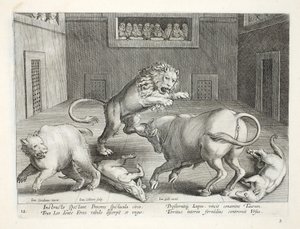 Adlige beobachten den Kampf wilder Tiere in einem Zirkus, Illustration aus 