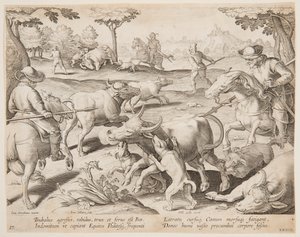 Büffeljagd, Platte 27 in der Serie Venationes Ferarum, Avium, Piscium von Jan van der Straet, called Stradanus