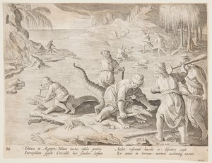Krokodiljagd in Tentyra, in Ägypten, Tafel 30 aus der Serie Venationes Ferarum, Avium, Piscium