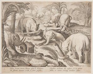 Elefanten helfen sich gegenseitig aus einer Falle, Platte 1 aus der Serie Venationes Ferarum, Avium, Piscium von Jan van der Straet, called Stradanus