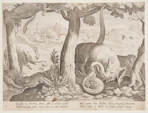 Kampf zwischen Elefanten und Schlangen, Platte 2 aus der Serie Venationes Ferarum, Avium, Piscium