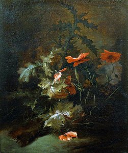 Disteln und Mohn von Jan van the Elder Kessel
