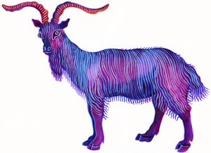 Ziege Steinbock