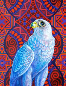 Grauer Falke, 2017
