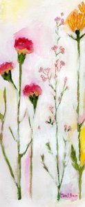 Blumen von Sheeley