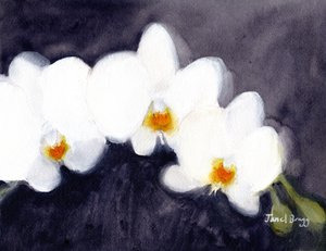 Weiße Phalaenopsis-Orchidee, ca. 2021 von Janel Bragg