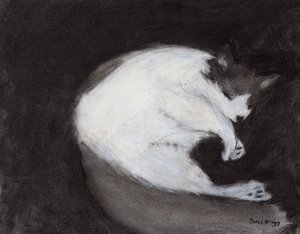 Thomas macht ein Nickerchen von Janel Bragg