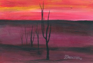Lebendiger Wüstensonnenuntergang von Janine Brewster