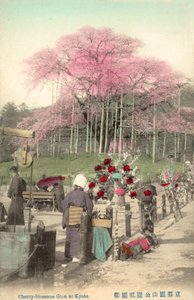 Kirschblüten, Gion, Kyoto, Japan von Japanese Photographer