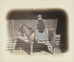 Mann auf einem Pferd