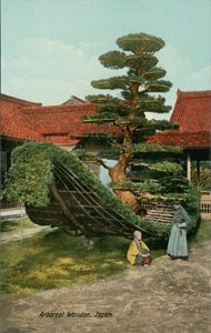  von Japanese Photographer