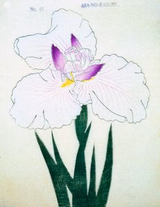 Asa-no.-Kasumi, Nr. 43, 1898 von Japanese School