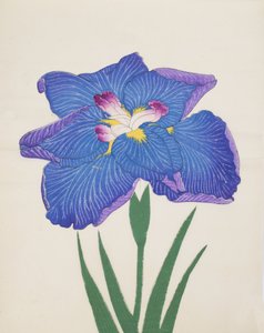 Azumabotan, Nr. 89, 1890