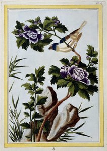 Vogel - Japanischer Druck