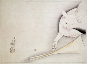 Katze, japanische Zeichnung, 19. Jahrhundert
