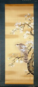 Falke auf einem blühenden Ast der japanischen Kirsche. Seidenmalerei aus dem 18. Jahrhundert aus Japan. Genua. Museo Chiossone. von Japanese School