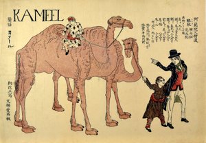 Kameel, veröffentlicht 1821 von Japanese School