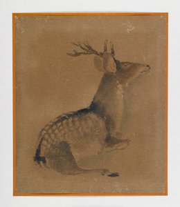 Liegender Hirsch