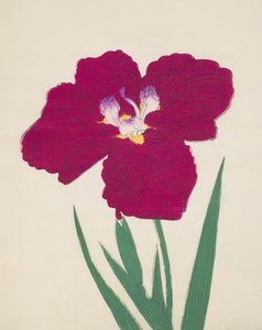 Tai-Hei-Raku, Nr. 18, 1890 von Japanese School