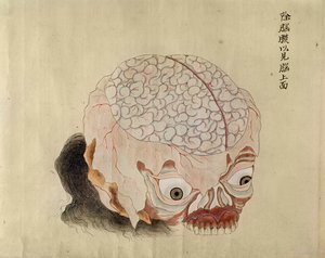 Die Anatomie des Gehirns aus der Dissektion eines Folteropfers von 1796, aus einem Makimono eines Midori-Arztes, 1842