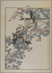 Zwei Vögel mit rosa Blumen, Meiji-Periode, ca. 1868-1912 von Japanese School