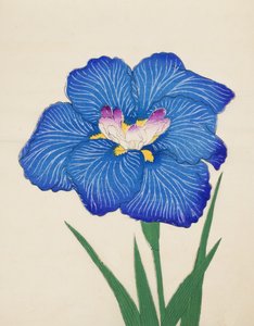 Ushio-no.-Kemuri, Nr. 47, 1898