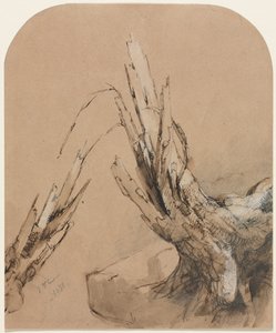 Ein abgestorbener Baum (recto) Grundriss (verso) von Jasper F. Cropsey
