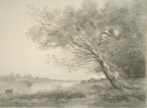 Gebogener Baum am Wasser