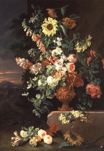 Sonnenblumen, Fingerhüte usw.