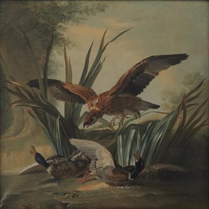 Ein Falke stürzt sich auf ein Paar Enten von Jean-Baptiste Oudry
