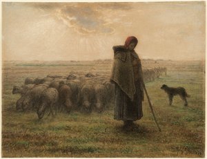 Schäferin und ihre Herde