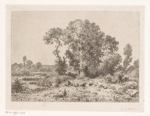 Baumgruppe bei einem Sumpf von Jean Alexis Achard