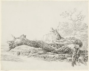 Ein umgestürzter alter Baum neben einem Bach von Jean Antoine Constantin