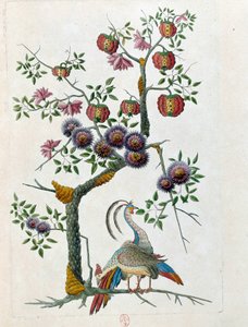 Zeichnung von einer chinesischen Vase: Vogel und Blumenast von Jean Antoine Fraisse