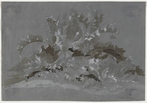 Studie von Unkraut von Jean Antoine Linck