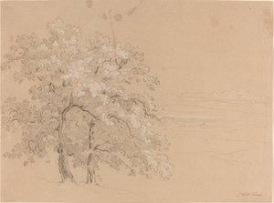 Sonnenbeschienene Bäume vor einer Panoramalandschaft von Jean Antoine Linck
