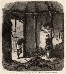 Im Inneren des Tempels der Fetisch-Schlangen, in Wydah, in Dahomey (heutiges Benin), Zeichnung von Jean Antoine Foulquier (1822-1896), zur Illustration der Reise von Dr. Repin nach Dahomey im Jahr 1860. Gravur in Le Tour du Monde, herausgegeben von Edouard