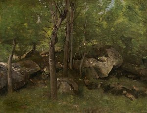 Felsen im Wald von Fontainebleau