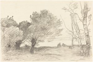 Weiden und weiße Pappeln von Jean Baptiste Camille Corot