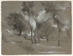 Landschaft mit Bäumen