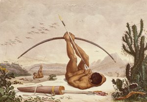 Einheimische Bogenschützen, Illustration aus den Reisen ins Innere Brasiliens von Jean Baptiste Debret