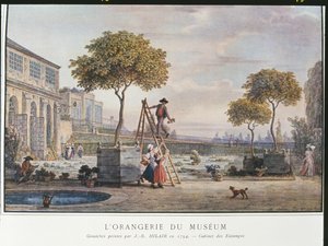 Die Orangerie im Museum in Paris, 1794