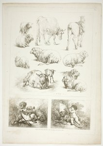 Tafel Acht von 38 aus Oeuvres de J. B. Huet