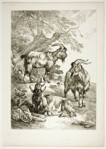 Tafel Siebzehn von 38 aus Oeuvres de J. B. Huet von Jean Baptiste Huet