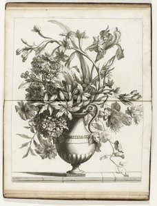 Blumenvase von Jean Baptiste Monnoyer