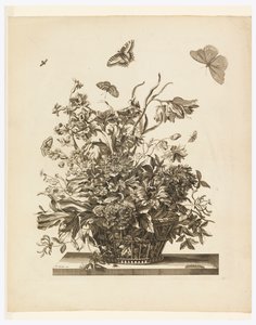 Tafel 10, aus dem Set Blumen in einem Korb von Jean Baptiste Monnoyer