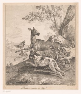 Hirsch von Jagdhunden überfallen (Jagdszenen) von Jean Baptiste Oudry