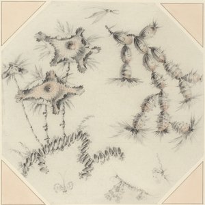 Bambusblüten und Kaktus von Jean Baptiste Pillement