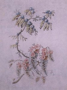 Dekorative Studie von Blumen und Beeren von Jean Baptiste Pillement